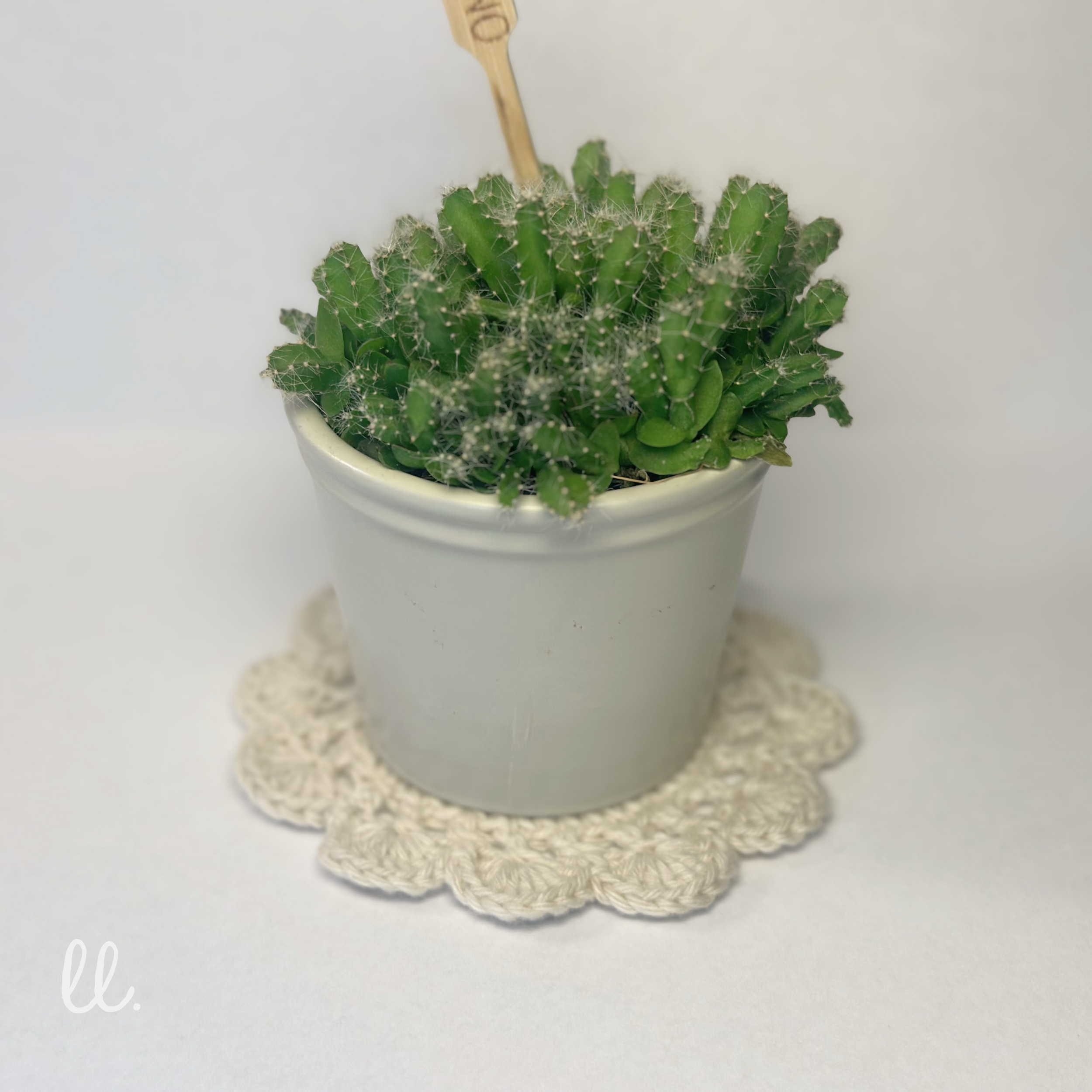 Häkeluntersetzer Set, Cremeweiß